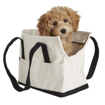 Canvas Pet Carry Tote - Ready in Stock