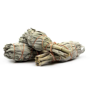 In Stock Mini Torch White Sage Bundles High End Salvia Leaves Herbs Rod 4" 10Cm Spirit Therapy Incense Stick