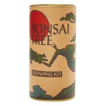 Japanese Maple Tree Seed Bonsai Grow Kit