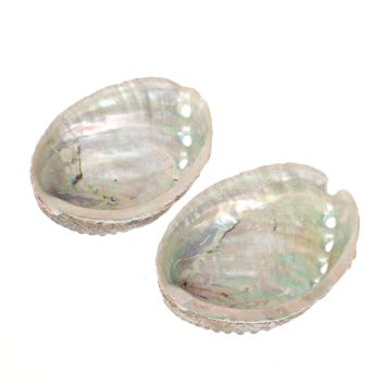 Natural Craft Seashell Crystal Abalone Shell Cleansing Smudge Kit Palo Santo Sticks Sage Healing Abalone Shell