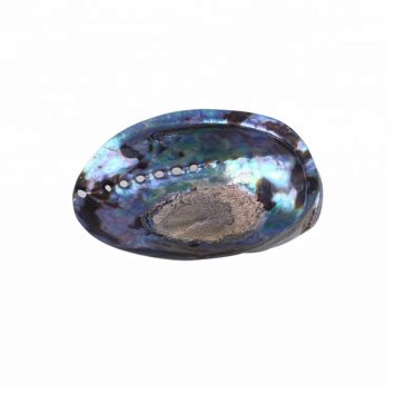Polished Abalone Shell Paua Jewelry