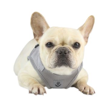 Reflective Cat Dog Adjustable Harness Vest Walking Lead Leash Nylon Mesh Kitten Puppy Leads Pet Clothes Chest Strap