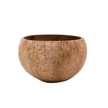 (Small) | Made from a Reclaimed Coco Shell | Eco Friendly, Biodegradable | 1 Bowl Sold Handcrafted Raw Coconut Bowl
