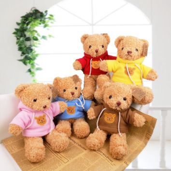 Cute Teddy Bear with Sweater Beautiful Teddy Bear