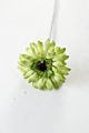 Artificial Daisy Bridal Flowers Bouquet Real Touch Silk Chrysanthemum with Flocking Stems