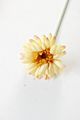 Artificial Daisy Bridal Flowers Bouquet Real Touch Silk Chrysanthemum with Flocking Stems