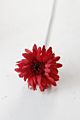 Artificial Daisy Bridal Flowers Bouquet Real Touch Silk Chrysanthemum with Flocking Stems