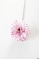 Artificial Daisy Bridal Flowers Bouquet Real Touch Silk Chrysanthemum with Flocking Stems