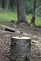 Acecamp Camp Axe European Style Steel Pipe Handle for Outdoor Activities of Camping, Picnic,Traveling