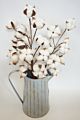 21Inch Designs Natural Artificial Dried Flowers Decorative Flowers Bionic Balls Natural Cotton Stems 3 Pack 6