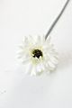 Artificial Daisy Bridal Flowers Bouquet Real Touch Silk Chrysanthemum with Flocking Stems