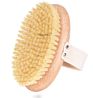 Body Brush. 100% Natural Vegan Agave Sisal Bristles for Dry Skin Brushing, Exfoliate Dead Skin, Detox, Stimulate Circulation