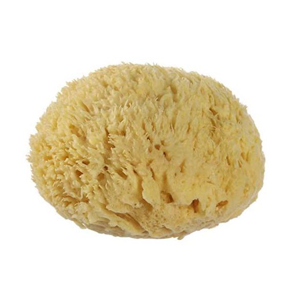 All Natural Renewable  Sea Wool Honeycomb Sea bath Sponge