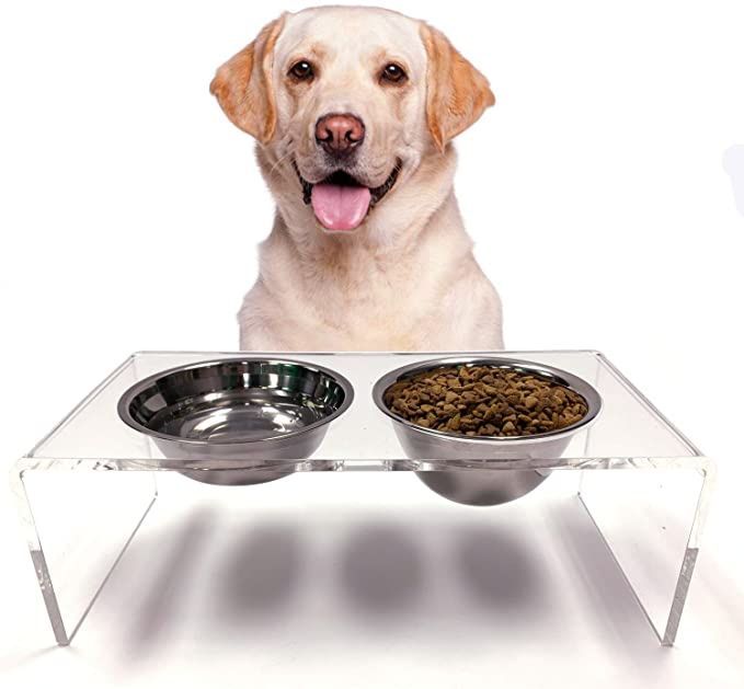 Acrylic Pet Feeder Stand