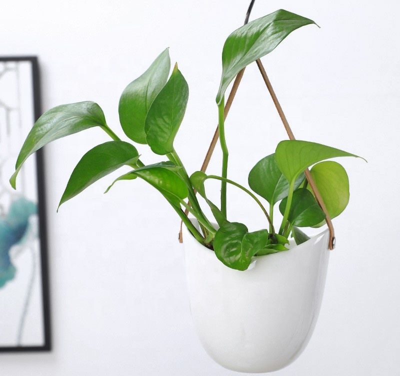 White Ceramic Flower Hanging Succulent Hydroponic Flower Pot Belt Wall Hanging Planter
