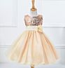 Flower Girls Dress Princess Wedding Party Kids Costume Baby Girls Clothes Children Clothing