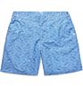 Polyester Locker Loop Metal Eyelets Mesh Lining Snap and Zip Fastening Swim Board Shorts