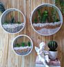 Hanging Metal Planter/Wall Decor Iron/Bucket/Basket Flower Pots for Indoor & Outdoor by Brassworld India
