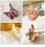 Butterfly Jelly Catch Chuck Translucent Texture Clip Hair Accessories Clamp Temperament Hair Claw Horsetail