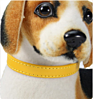 Dog Cat Pu Leather Collars Varies Colors and Size Available
