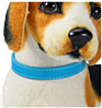 Dog Cat Pu Leather Collars Varies Colors and Size Available