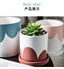 Home Colorful Nordic Decor Glazed Succulent Plant Pot Terracotta Cement Planter Ceramic Flower Pots