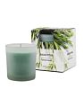 Design Home Decoration Hotsale Scented 150G Candle with Frosted Glass Jar