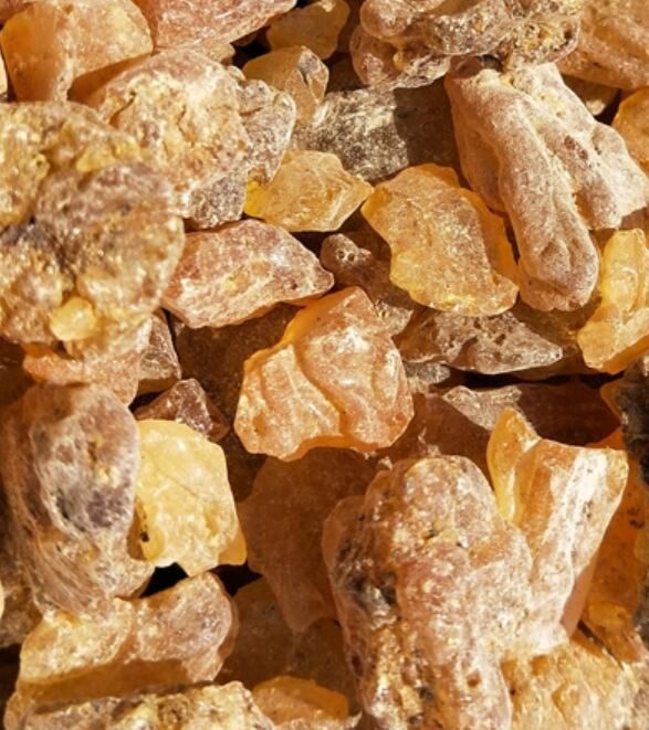 Natural Blocks Copal Aromatic Resins from the Copal Tree Protium Copal