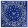 Fanni 22X22 Inches Paisley Bandana Headband Multifunction Cotton Square Face Covering Bandana Handkerchief Scarfs