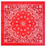 Fanni 22X22 Inches Paisley Bandana Headband Multifunction Cotton Square Face Covering Bandana Handkerchief Scarfs