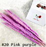 Home Decorative Flower Small Pampas Grass Dried Pampas Grass Natural Fresh Pampas Grass for Decoration