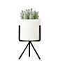 cermic flower pot