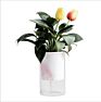 Arrivals Self Watering Pot Planter Pot Self Watering Plant Pots For