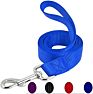 Pet leash