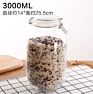 3L Big Size Jar round Glass Storage Jar with Lid