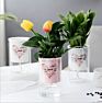 Arrivals Self Watering Pot Planter Pot Self Watering Plant Pots For