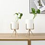 cermic flower pot