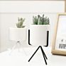 cermic flower pot