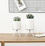 cermic flower pot