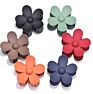 Rara 7Cm Ins Hair Accessories Fashionable Daisy Hair Clip Flower Medium Plastic Hair Claw