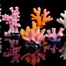 Aquarium Fish Tank Ornaments Artificial Coral Simulation Starfish Resin