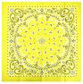 Fanni 22X22 Inches Paisley Bandana Headband Multifunction Cotton Square Face Covering Bandana Handkerchief Scarfs