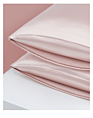 Anti Bacterial Various Colors Washable 19 Mm 100 Pure Silk Pillowcase Mulberry Silk Pillow Case with Box