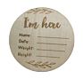 Nursery Milestone Card Set Pregnancy Milestone Laser Cut Wooden Baby Nursery Decor