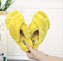 Latest Cross Band Plush Slipper Female Soft Fancy Warm Slippers for Ladies