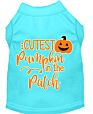 Cutest Pumpkin in the Patch Screen Print Dog Shirt