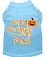 Cutest Pumpkin in the Patch Screen Print Dog Shirt
