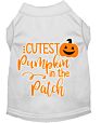 Cutest Pumpkin in the Patch Screen Print Dog Shirt