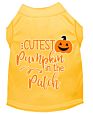 Cutest Pumpkin in the Patch Screen Print Dog Shirt