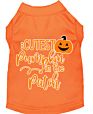 Cutest Pumpkin in the Patch Screen Print Dog Shirt